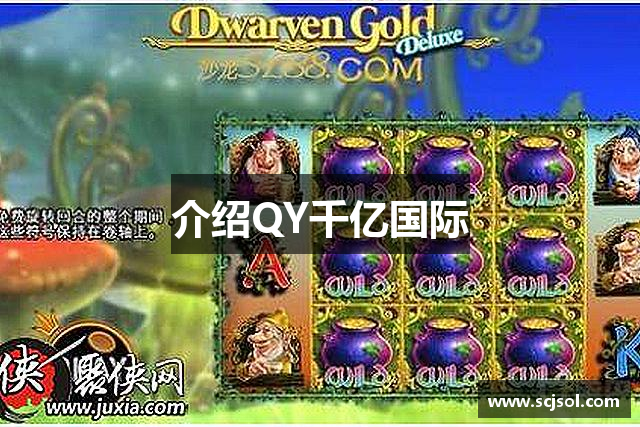 介绍QY千亿国际